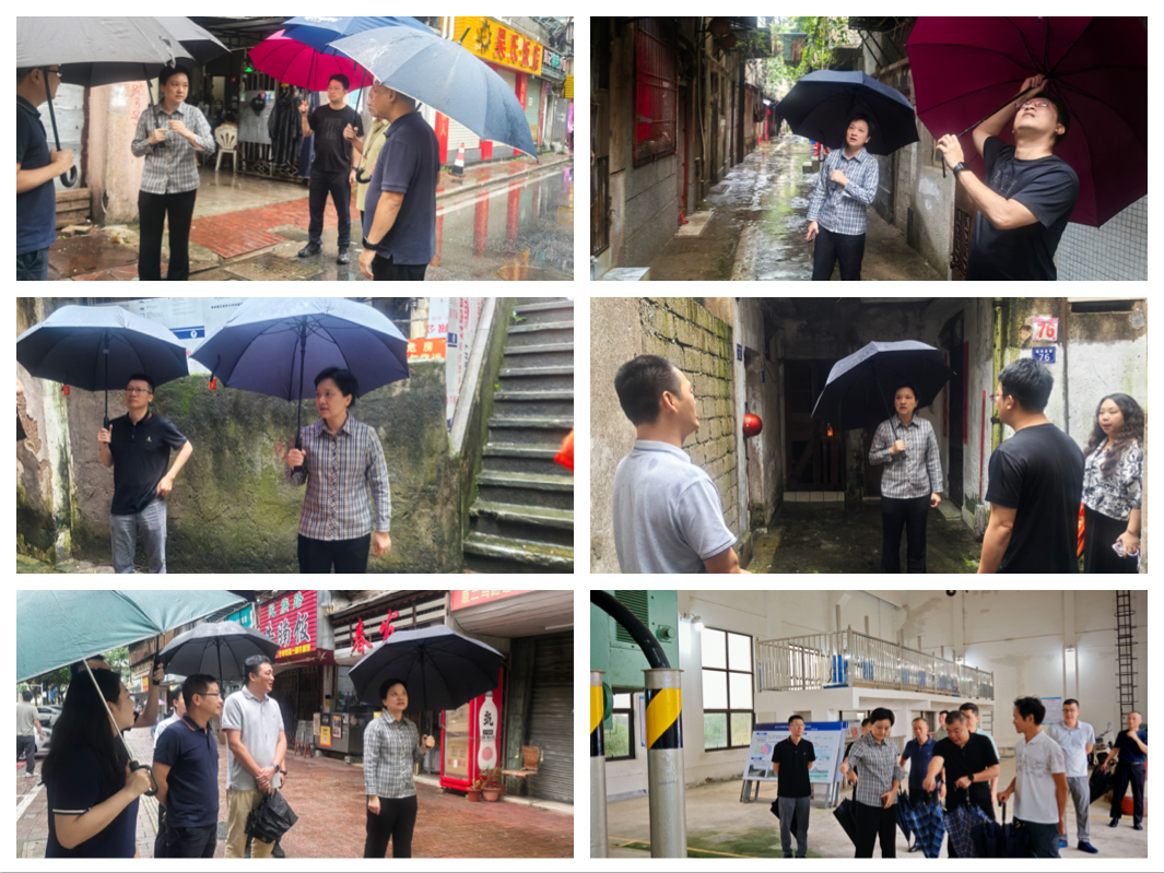 集约化0908.jpg