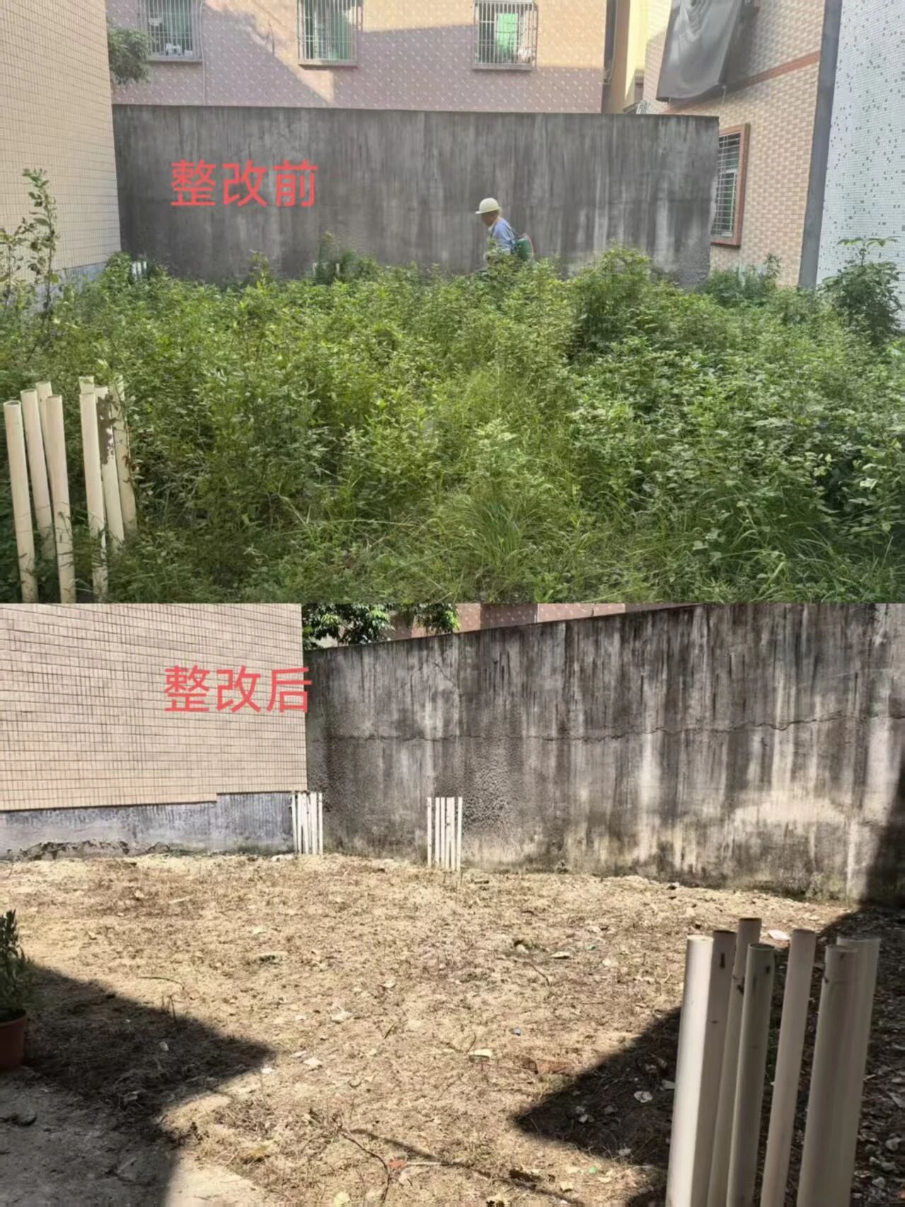 微信图片_2026-09-11_092432_660.jpg